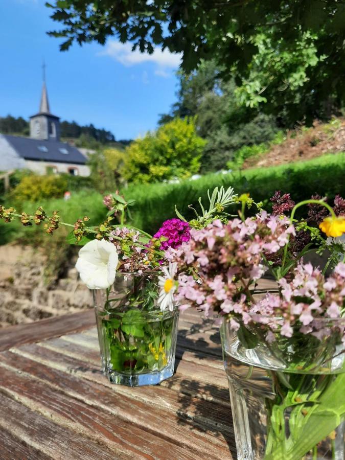 Gezellige villa met open haard en zonnige tuin. Doische Buitenkant foto