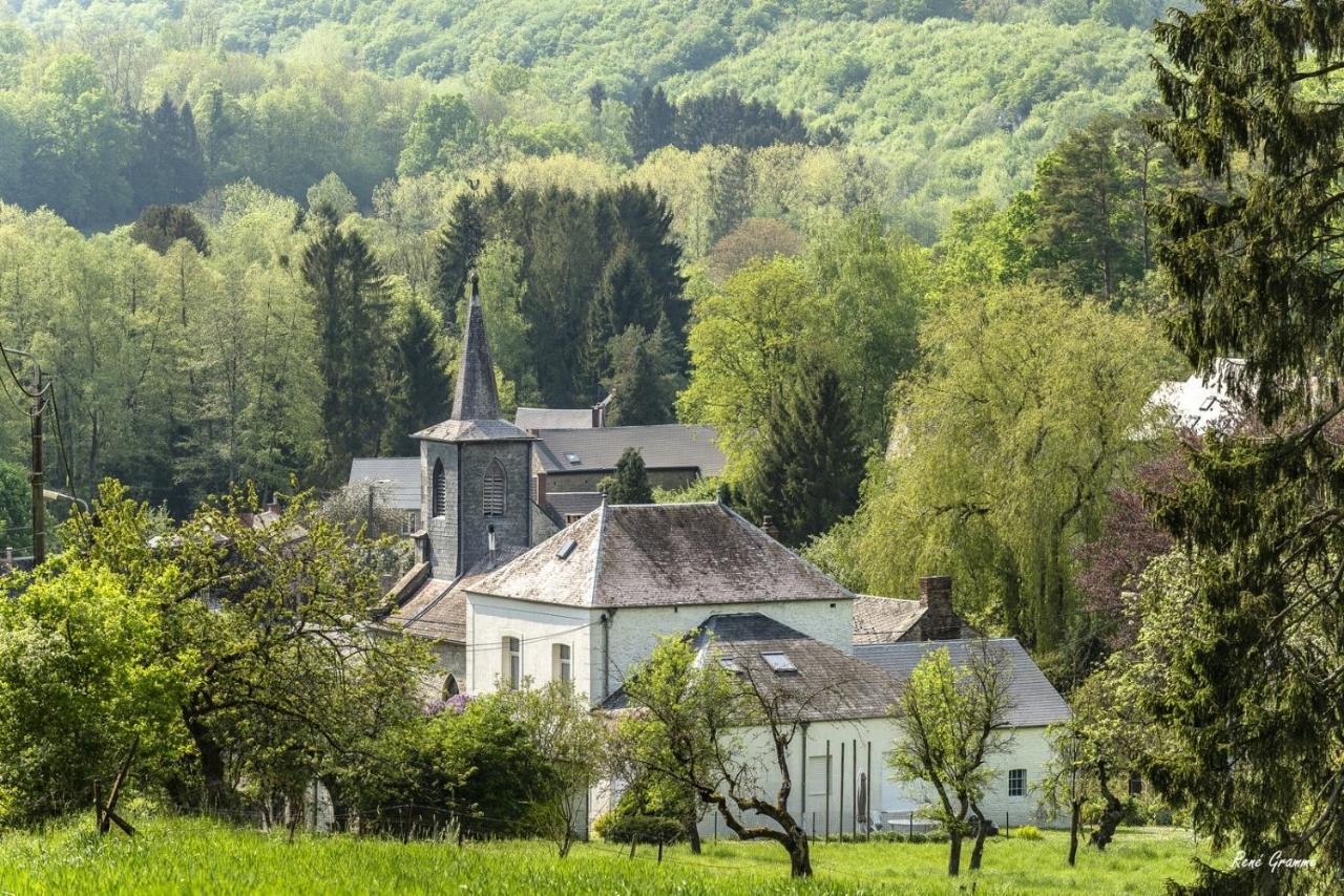 Gezellige villa met open haard en zonnige tuin. Doische Buitenkant foto